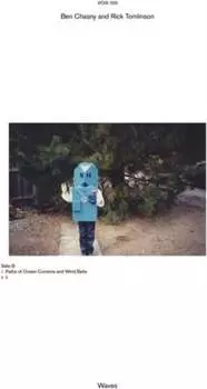 Виниловая пластинка Voix - Waves