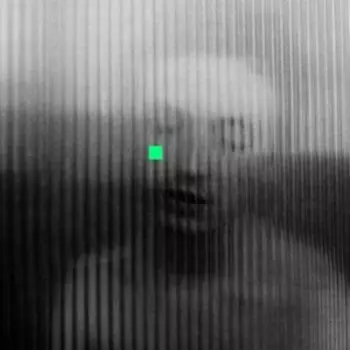 Виниловая пластинка Watson Lewis - The Love That You Want