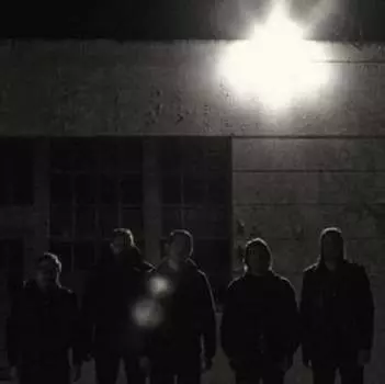 Виниловая пластинка Western Addiction - Frail Baby