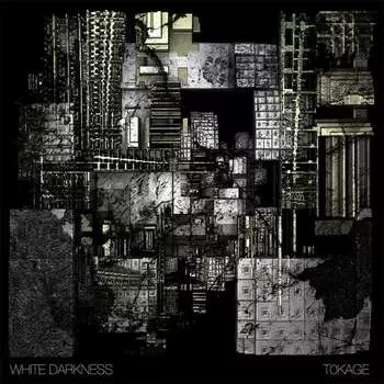 Виниловая пластинка White Darkness - Tokage