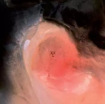 Виниловая пластинка XXL - Puff O'Gigio