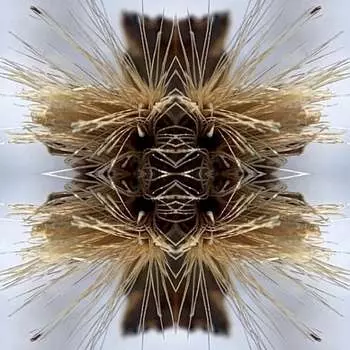 Виниловая пластинка Yakuza - Sutra