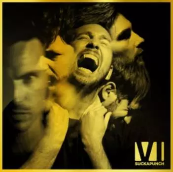 Виниловая пластинка You Me At Six - SUCKAPUNCH