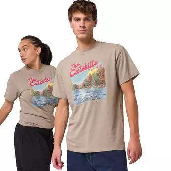 Винтажная футболка Catskills Parks Project, серый