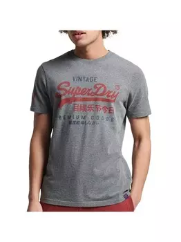 Винтажная классическая футболка Superdry, серый