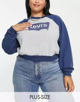 Винтажная толстовка Levi's Plus серо-синего цвета
