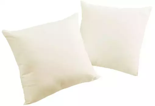 Вирт декоративная подушка "Жанин", чехол на подушку без наполнения, 2 шт Wirth 50х50 см, кремовый