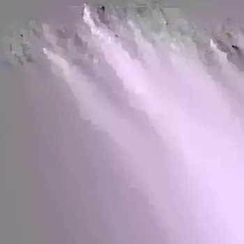 Виртовая штора «Uni Collection», (1 шт.), на заказ Wirth, цвет naturwei