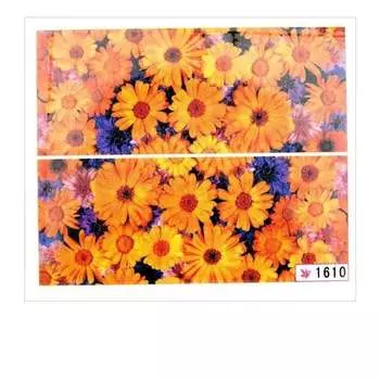 Водные наклейки для ногтей, лист 6,5 х 5,5 см, на 10 пальцев, № 1610 Mollylac, Molly Lac