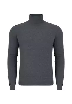 Водолазка GOLF Pako Lorente, серый