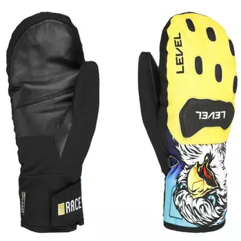 Водонепроницаемые лыжные перчатки Level, разноцветный
