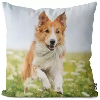 VOID Бордер-колли Красный чехол на подушку Полиэстер Водонепроницаемая подушка для улицы и дома Размер: 60 x 60 см