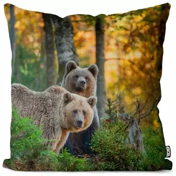 VOID Бурые медведи Лесная дикая местность Чехол на подушку Полиэстер Водонепроницаемая подушка для улицы и дома Размер: 80 x 80 см