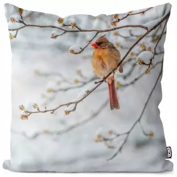 VOID Cardinal Winter Bird Nature Чехол на подушку Полиэстер Водонепроницаемая подушка для улицы и дома Размер: 60 x 60 см