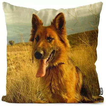 VOID Чехол на подушку для немецкой овчарки Полиэстер Водонепроницаемая подушка для улицы и дома Размер: 80 x 80 см