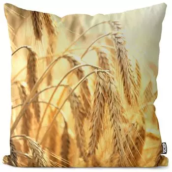 VOID Чехол на подушку из пшеничного зерна Полиэстер Водонепроницаемая подушка для улицы и дома Размер: 60 x 60 см
