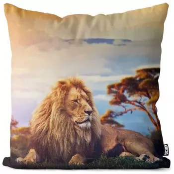 VOID Lion Africa Safari Чехол на подушку из полиэстера Водонепроницаемая подушка для улицы и дома Размер: 80 x 80 см