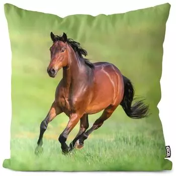 VOID лошадь коричневый чехол на подушку чехол из полиэстера водонепроницаемый для улицы и дома, размер подушки: 60 x 60 см
