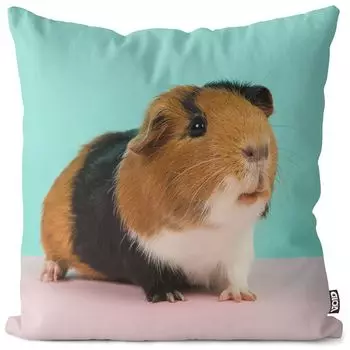 VOID Морская свинка, розовый чехол на подушку, чехол из полиэстера, водонепроницаемый, для улицы и дома, размер подушки: 60 x 60 см
