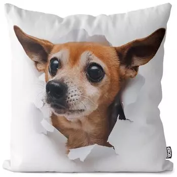 VOID Русская игрушка-чехол для собаки. Полиэстер. Водонепроницаемая подушка для улицы и дома. Размер: 60 x 60 см.