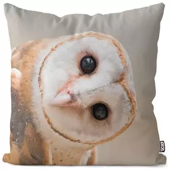 VOID Сова Птица Дикие животные Чехлы для подушек Полиэстер Водонепроницаемая подушка для улицы и дома Размер: 80 x 80 см