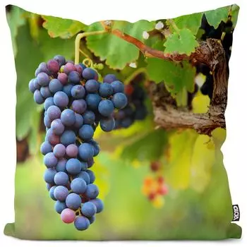 VOID Виноградная лоза Красное вино Фрукты Чехол на подушку Полиэстер Водонепроницаемая подушка для улицы и дома Размер: 60 x 60 см