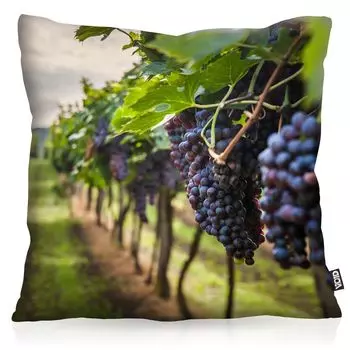 VOID Виноградник Виноград Полиэстер Чехлы для подушек Чехлы для подушек На открытом воздухе В помещении Италия Испания Франция Размер подушки: 80 x 80 см