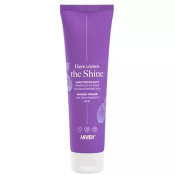 Вот вам праймер для придания блеска волосам с высокой пористостью 100 мл Anwen