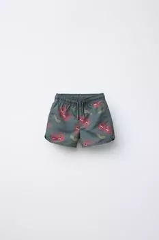 Возраст 2-6 лет / шорты для плавания с вишневым принтом ZARA, зеленый