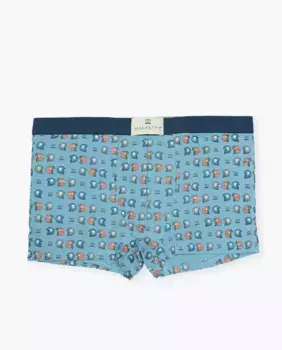 Вязаные боксерские шорты с фантазийным принтом Makarthy, голубой