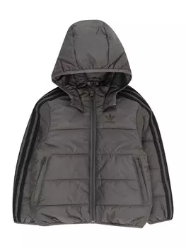 Всесезонная куртка ADIDAS ORIGINALS Between-Season Jacket Adicolor, темно-серый