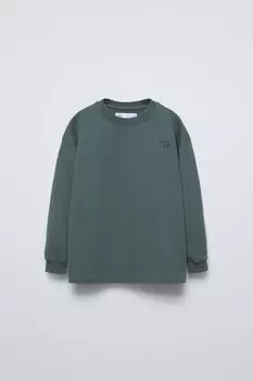 Вышитая футболка ZARA, зеленый