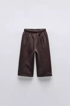 Вышитые брюки ZARA, цвет dark aubergine