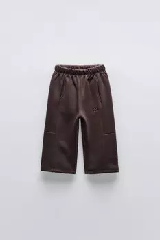 Вышитые брюки ZARA, цвет dark aubergine