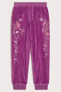 Вышитые велюровые джоггеры Monsoon, фиолетовый