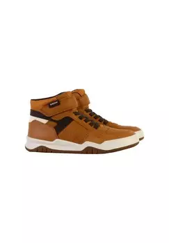 Высокие кроссовки BASKET MONTANTE SCRATCH GEOX PERTH Geox, коричневый