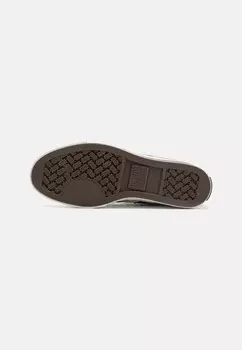 Высокие кроссовки для тренировок STAR PLAYER 76 UNISEX Converse, фиолетовый