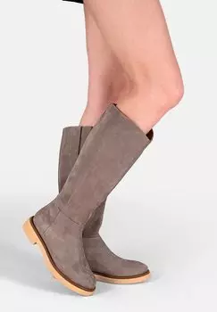 Высокие сапоги Neva Crickit, цвет dunkeltaupe