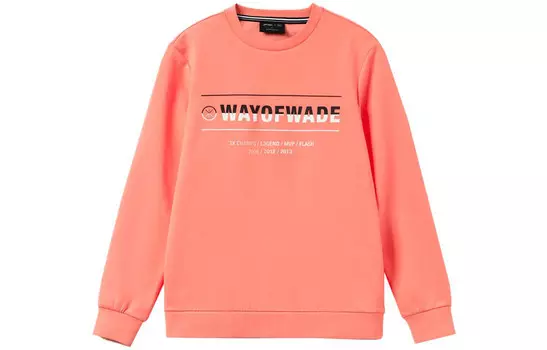 Wade Collection Толстовка мужская Desert Powder Lining, цвет Desert Powder