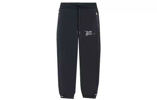Wade Collection Трикотажные спортивные штаны мужские черные Lining, черный