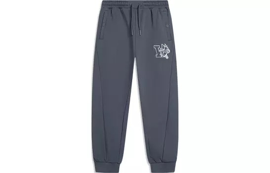 Wade Collection Трикотажные спортивные штаны мужские цвета черного дерева Lining, черный