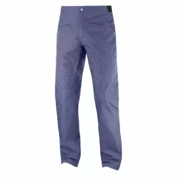 Wayfarer Зауженные мужские брюки Salomon, синий