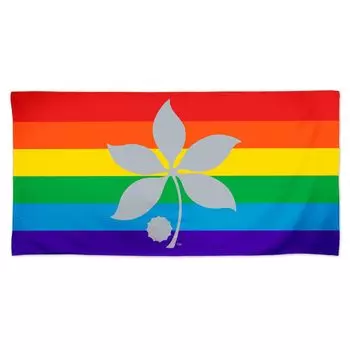 WinCraft Ohio State Buckeyes 30 x 60 дюймов Пляжное полотенце Pride Spectra