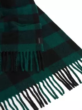 Woolrich шарф с бахромой по краю в клетку, зеленый