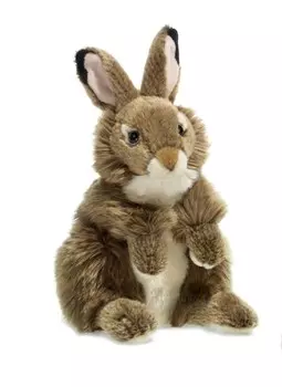 WWF, талисман Сидящий Заяц