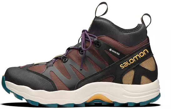 XA-Pro 1 Mid Gore-Tex Черный Шоколадный Коричневый Синий Salomon