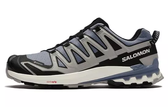 XA Pro 3D V9 GORE-TEX «Флинт Стоун Призрак Серый» Salomon
