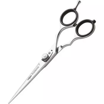 XanitaliaPro Iwasaki Executive Silver Fuji 6