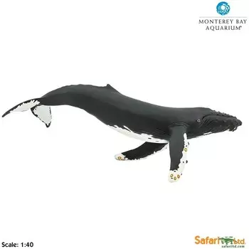 XL Safari Ltd 210002 Длинный плавник океана 1:40 35x18