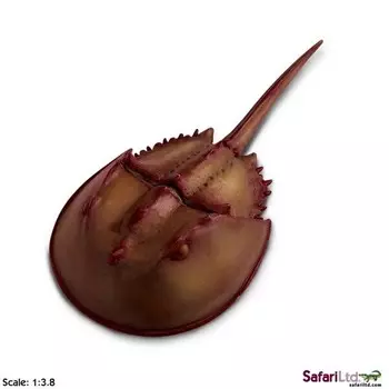 XL Safari Ltd 261429 Скшиплоц масштаб 1:3,8 18x9см